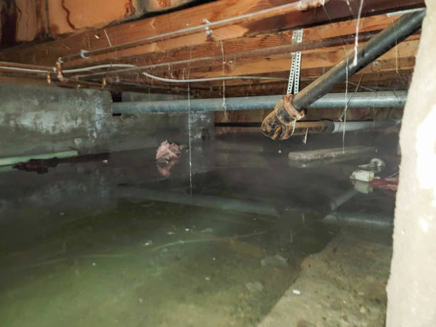 Best Water damage cleanup near me  in Haverford College, PA