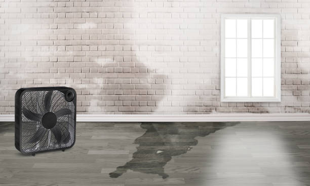 Water damage restoration insurance claims in Haverford College, PA