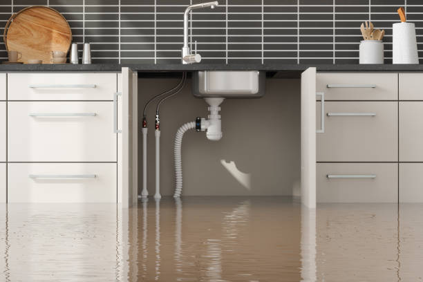 Best Water damage contractors near me  in Haverford College, PA