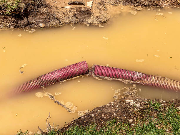 Best Sewage cleanup and water damage restoration  in Haverford College, PA