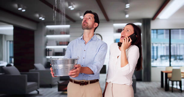 Best Fire Damage Restoration  in Haverford College, PA